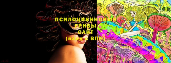 крисы Тихвин