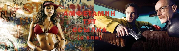 крисы Тихвин