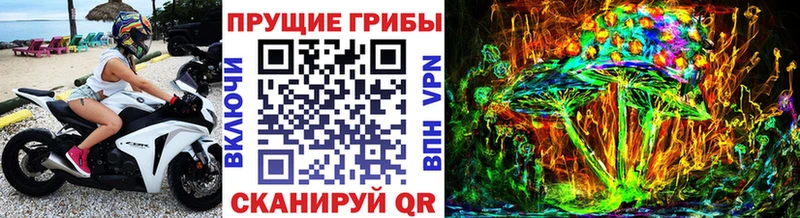 купить наркотик  Комсомольск-на-Амуре  Псилоцибиновые грибы мицелий 