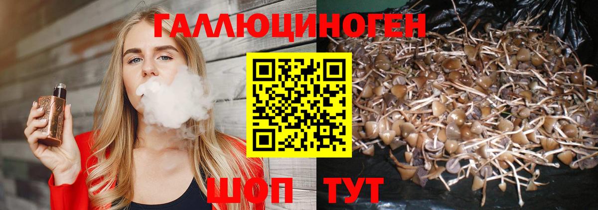 Галлюциногенные грибы мухоморы Комсомольск-на-Амуре